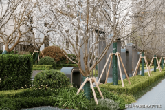  厚沉的文化感送面